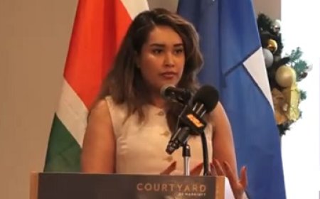 Suriname en Finland houden zakelijk seminar en netwerkevenement