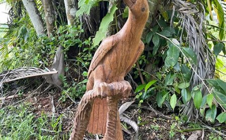 Kunsteducatie krijgt impuls in Brokopondo met project Beeldkracht