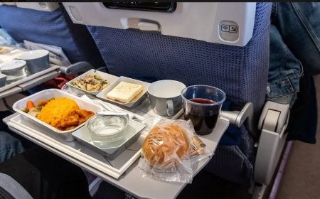 Eet dit liever niet in het vliegtuig: waarom onverpakte maaltijden een risico zijn