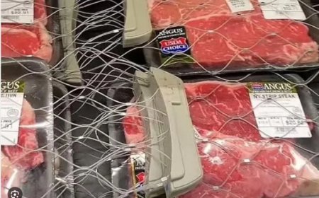 Armoede, georganiseerde diefstal en harde winkelmaatregelen