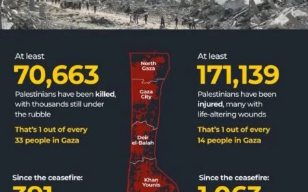 Meer dan 70.000 Palestijnen vermoord sinds begin geweld in Gaza