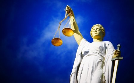 Wetgeving en institutionele loyaliteit: het Openbaar Ministerie onder druk