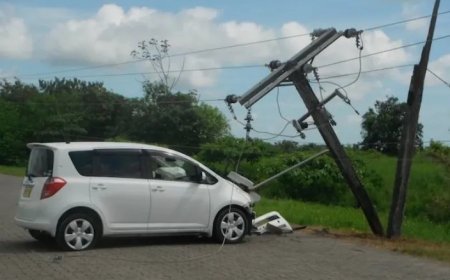 Maandelijks worden zo’n 35 elektriciteitsmasten aangereden