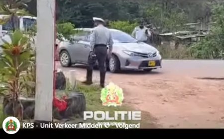 Rijbewijs van 8 automobilisten ingevorderd voor overtreding maximumsnelheid