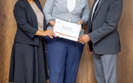 Staatsraad presenteert voortgangsrapport aan president Simons