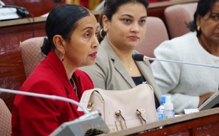 DNA hoort HvJ en PG over initiatiefwetten rechterlijke macht