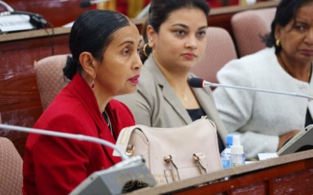 DNA-leden plegen overleg met hofpresident en procureur-generaal