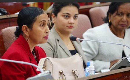 Pg en hofpresident kritisch over ingrijpende wijzigingen rechterlijke macht