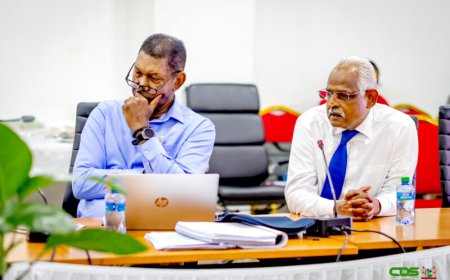 Staatsraad brengt orde op zaken