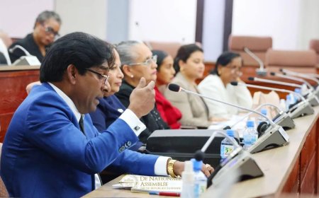 Hof en OM lichten initiatiefwetten toe aan Commissie van Rapporteurs