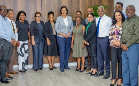 Staatsraad presenteert eerste rapport aan president Simons