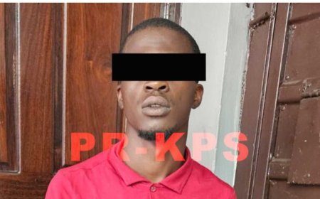 Vuurwapen aangetroffen bij politiecontrole aan Badoellaweg