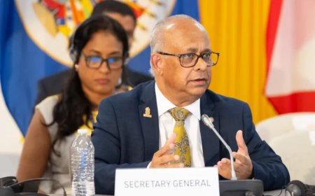 Spanning binnen OAS: secretaris-generaal Ramdin steunt adviseur Jessurun ondanks corruptiebes