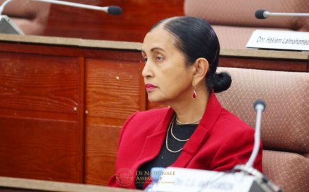 Stevige kritiek OM op voorgestelde grondwetswijziging en herstructurering rechterlijke macht