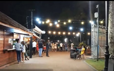 Onzichtbare politie tijdens feestavonden zorgt voor onveilig gevoel bij burgers