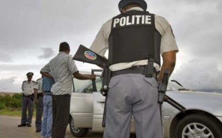 Grote drugsvangst bij controlepost Stolkertsijver