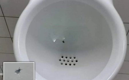 Slimme vlieg bespaart schoonmaak kosten op Schiphol