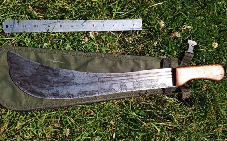 GEWELD OP SCHOOL IS GEEN KATTENKWAAD