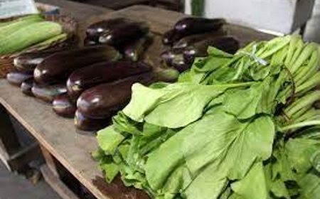 Prijslijst groenten maandag 22 december 2025