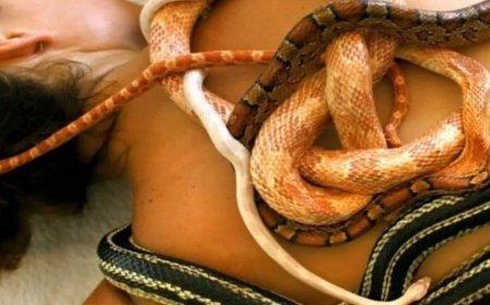 Bijzondere spa in Jakarta masseert klanten met slangen