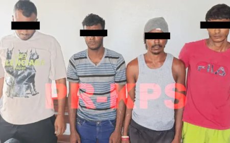 Agenten van politiebureau Paradise arresteren vier verdachten van mishandeling en beroving