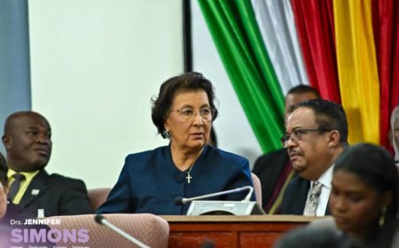 Milieubeleid raakt meerdere ministeries, maar vraagt om duidelijke regie