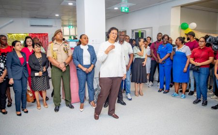 AZP-directeur Marica-Redan: zonder financiële rust geen reparatie van de zorg mogelijk