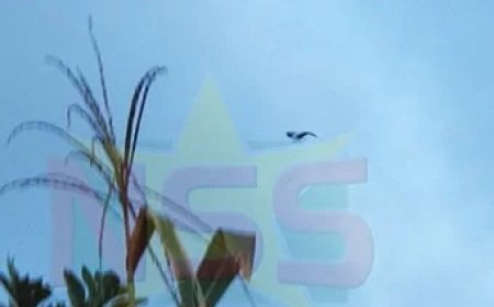 Overwegend zonnig weer met bewolking en verspreide buien