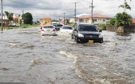 Vast in het zand, drijvend op hoop