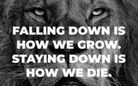 De les is niet geleerd