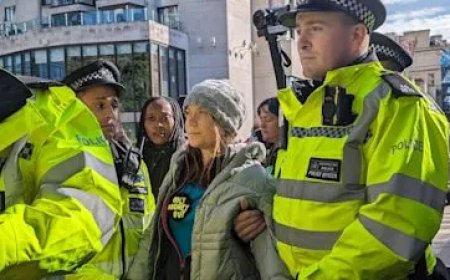 Greta Thunberg opgepakt bij pro-Palestijnse protest in Londen