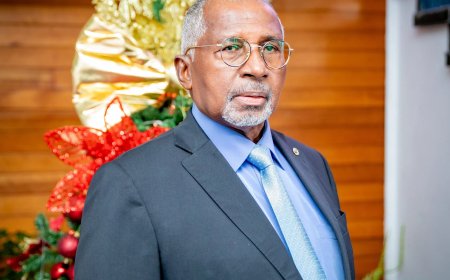 Van der San benoemd tot voorzitter Administratief Beroepsinstituut