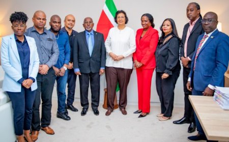 Bestuurskundige Van der San leidt Administratief Beroepsinstituut