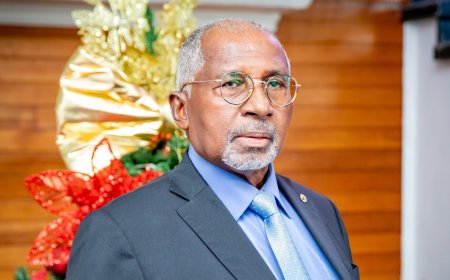 Eugène van der San aangesteld als voorzitter Administratief Beroepsinstituut