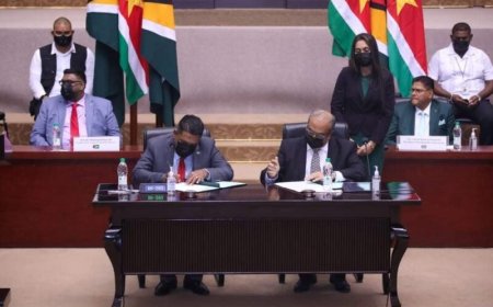 Rotte visgeur rond vergunningen blijft