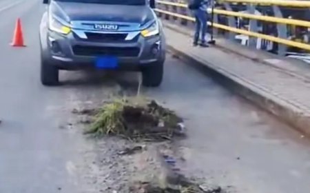 Buurtbewoners opgelucht na langverwachte schoonmaak van brug Beekhuizen