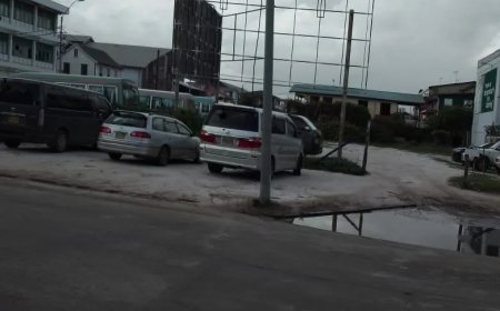 Stroomkabeldieven een hinder voor onderneemster