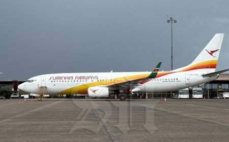 De (governance)situatie bij de Surinaamse Luchtvaartmaatschappij