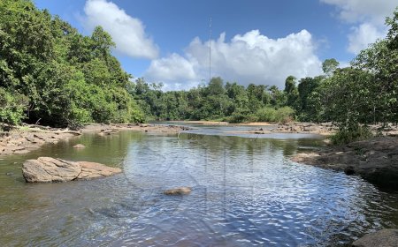 Breaking: Twaalf goudconcessies uitgegeven in Boven-Suriname