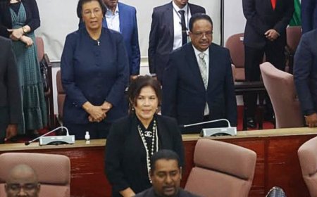 INGRID HEEFT NIKS TE ZEGGEN IN DNA?