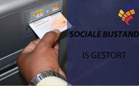 GEORGANISEERD GESJOEMEL MET MONIKARTA