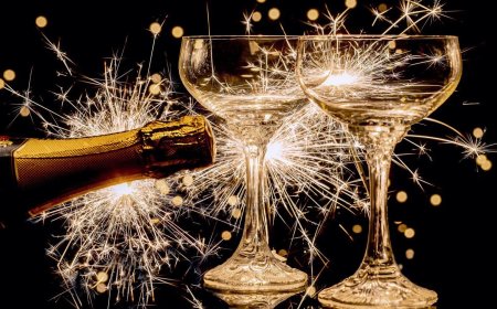 Afgeblazen overheidsfeesten: Werkelijke kostenbesparingen of politieke stunterij?