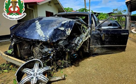 Dronken automobilist (20) belandt met auto in bosschage