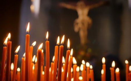 Massamoord in Meerzorg: negen doden na steekpartij