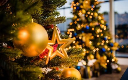 KERSTFEEST EN HET SFEERTJE