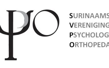 Statement Vereniging van Psychologen in reactie op reactie’s na meervoudige moord