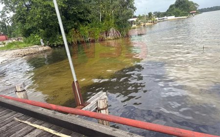 NMA: 3.000 tot 4.000 liter olie in Surinamerivier bij Accaribo