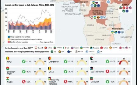 Analyse van conflicttrends in Sub-Sahara Afrika toont zorgwekkende realiteit