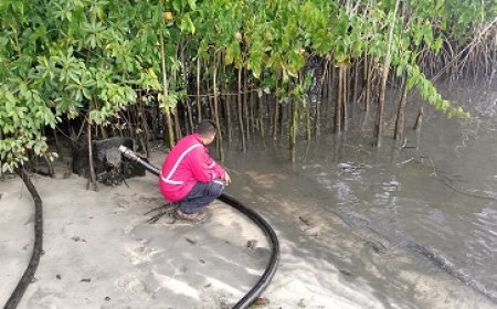 NMA wil beperkte schade na olielekkage Accaribo