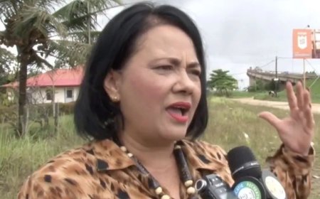 DNA-lid Ingrid Karta-Bink: een jaar van verlies, misleiding en hernieuwde hoop 